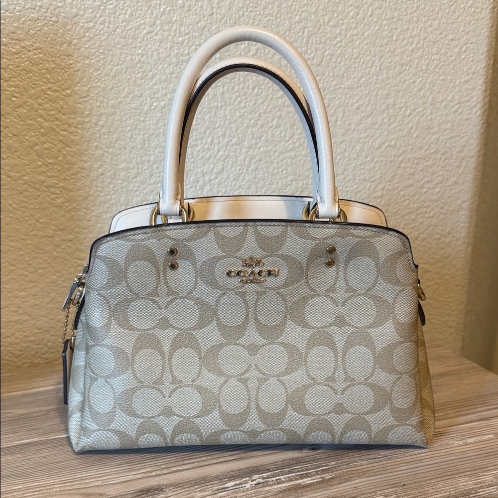 Coach Small Carryall Bag